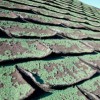 Marianna Metal Roofing