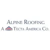 Alpine Roofing