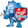 The Roof Squad