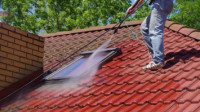 Roof Cleaning