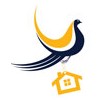 Mcallen Roofing